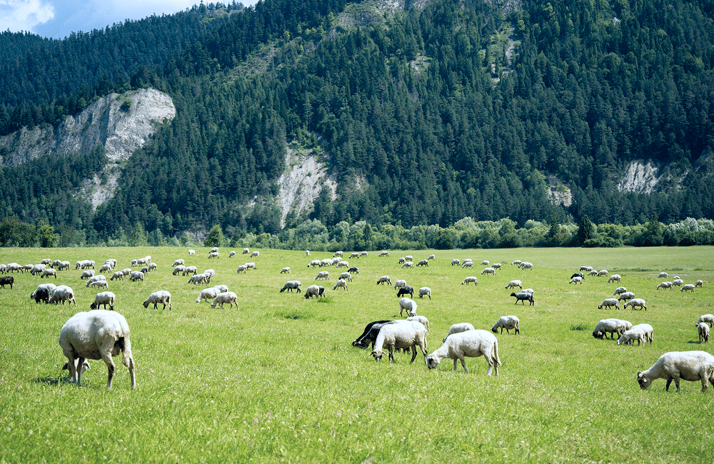 Eine Alpensinfonie